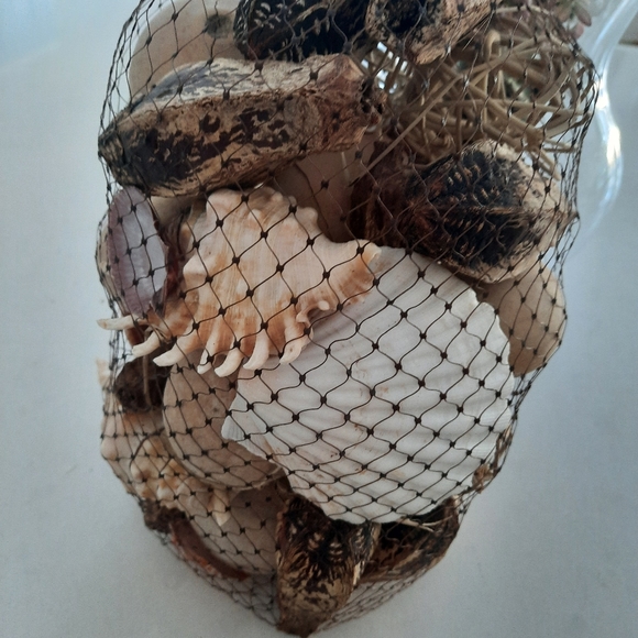 Seashells and decors - Picture 2 of 3